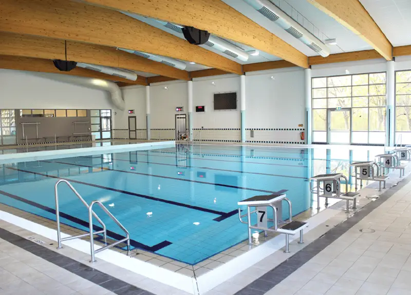 Freie Schwimmzeiten im Wettkampfbecken