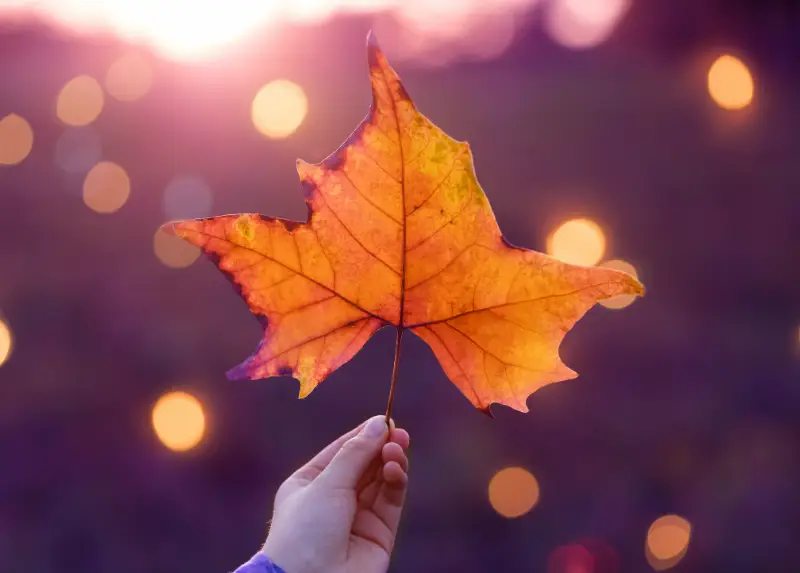 HerbstKraft Weekend
